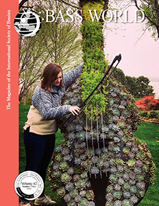Capa da Bass World - Volume 42 #3